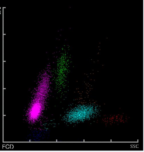 永久免费AV片在线观看