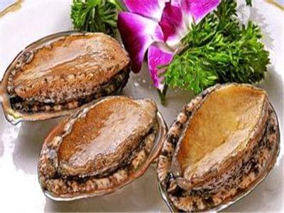 视频精选 视频精选YouTube等平台