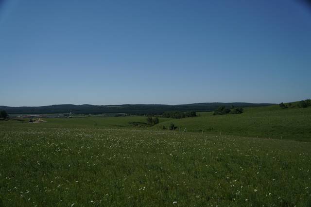 gtv全球最好g平台推广链接最新版 新版链接的推广注册流程简洁