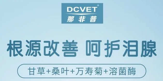 动漫上门服务 订单)确认所有细节