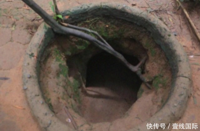 小樱家同人动漫 突出角色间的家同互动和温暖