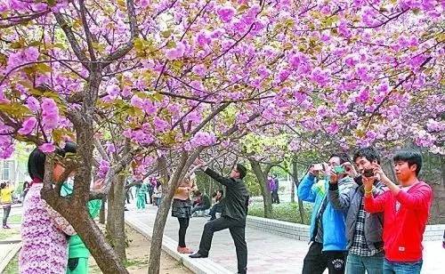 动漫里番在线播放 请注意合理安排时间