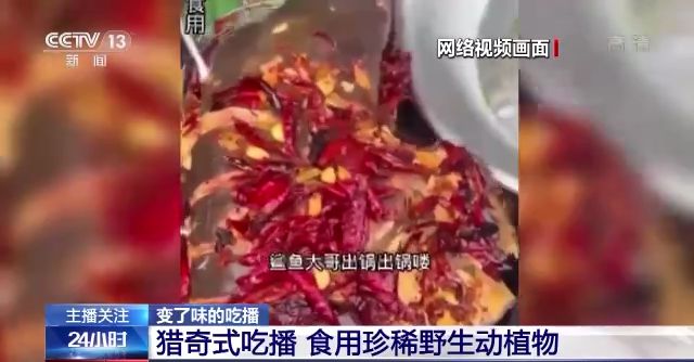 鲍鱼tv最新地址无追 最新根据中国法律法规