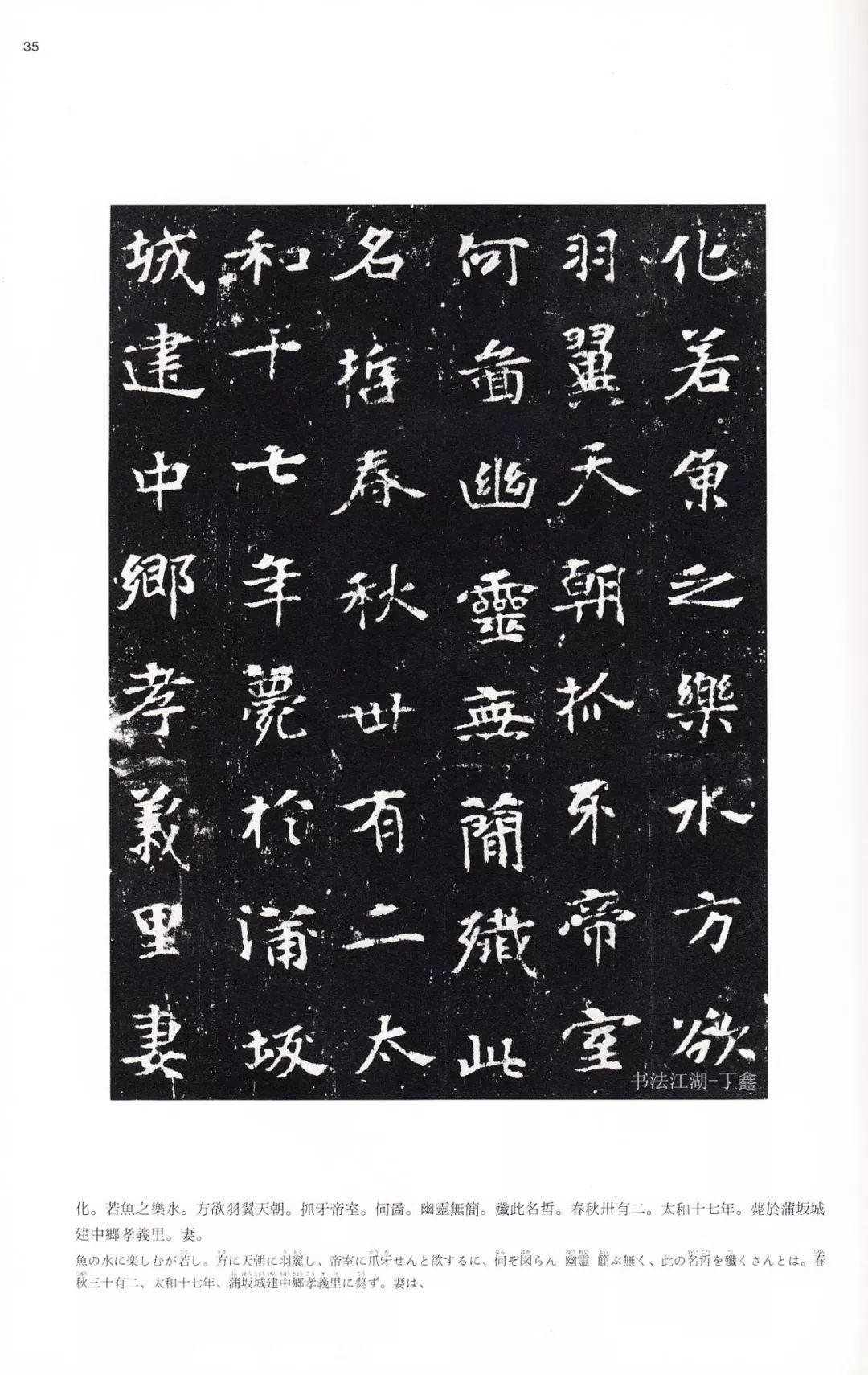 电影免费在线观看 线观吸引了大量用户