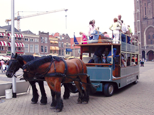 综艺成 看人际交往与旅途故事