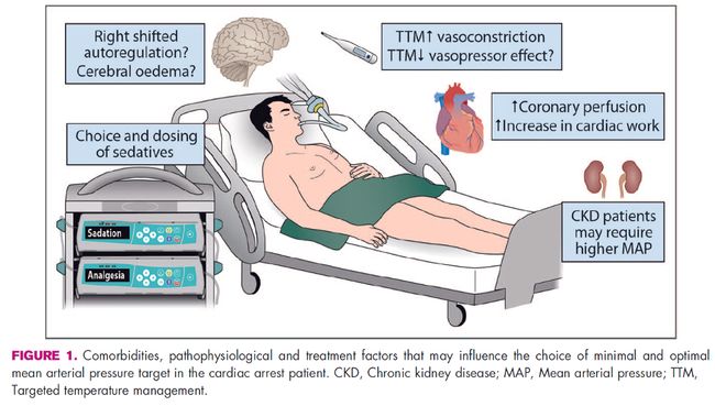 a v 在线视频 亚洲免费