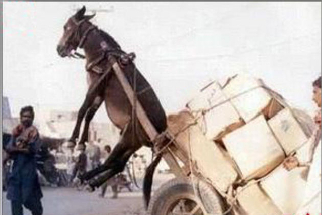 远坂家计事情漫画 作者：tosh（とーし）