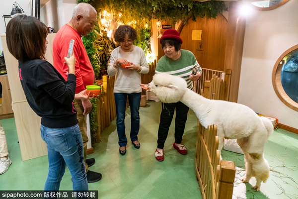 一匹小马拉着一辆大车。