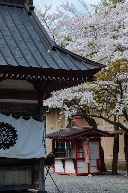 谢谢导演 🌟谢谢导演谢谢导演不客气