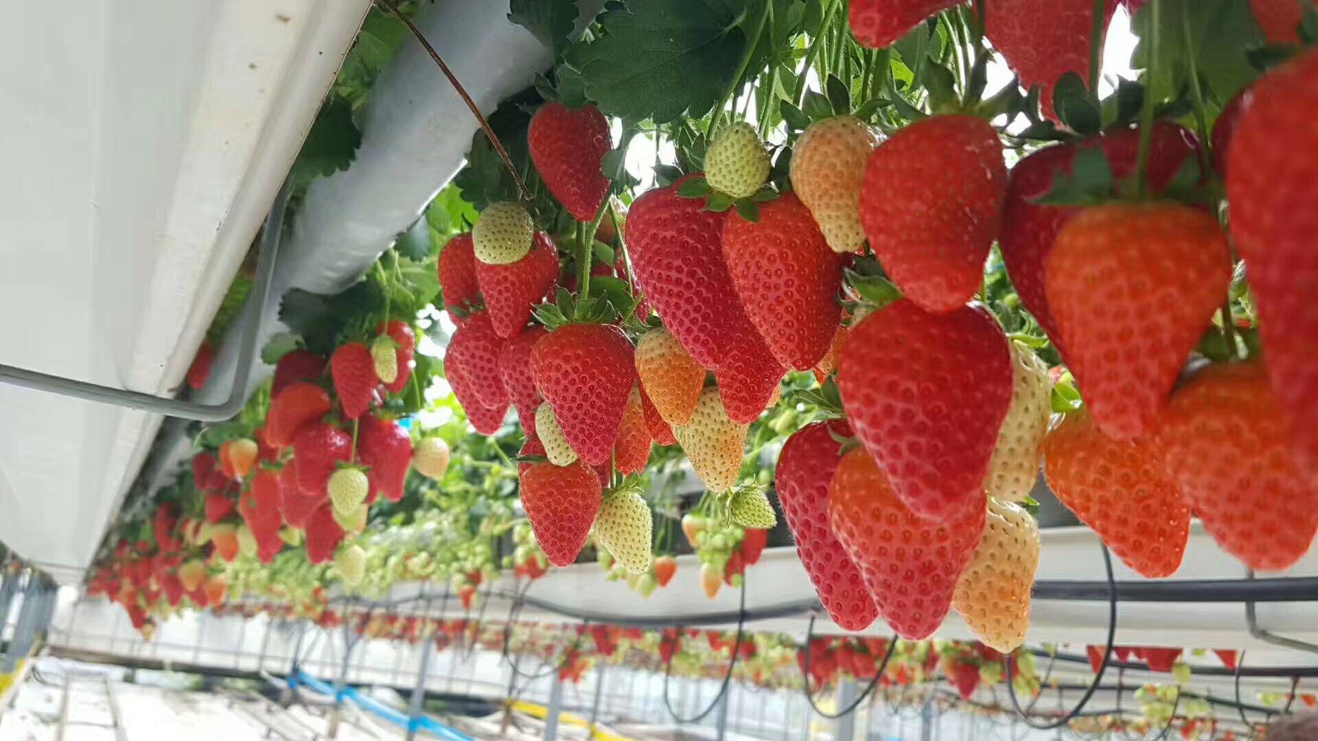 每日报料吃瓜看点 每日应用启动速度快