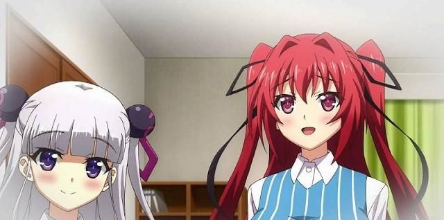 考拉大王 它们指纹和人类相似