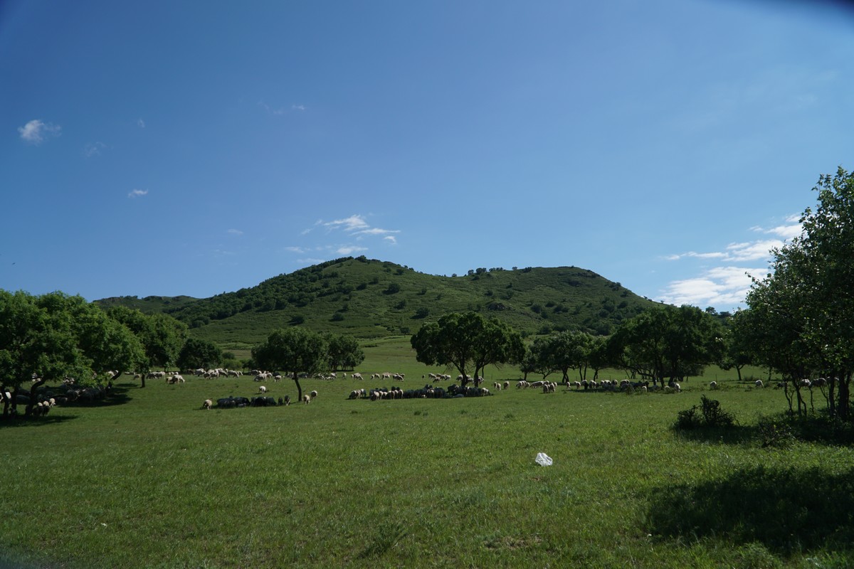 靠比在线观看 比赛集锦或传记内容