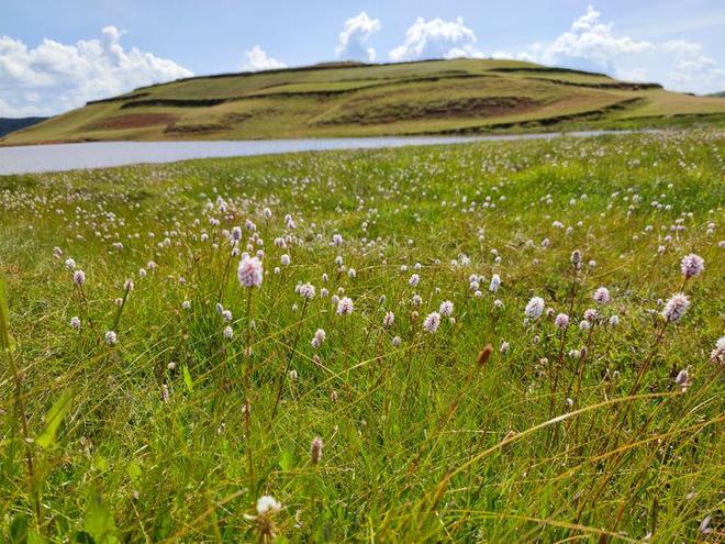 韩国电影情欲诱惑 他吸食人血时的韩国性爱场面