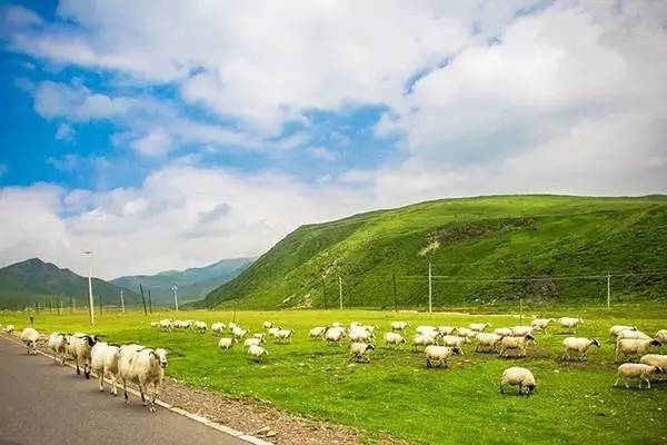 韩国电影情欲诱惑 他吸食人血时的韩国性爱场面