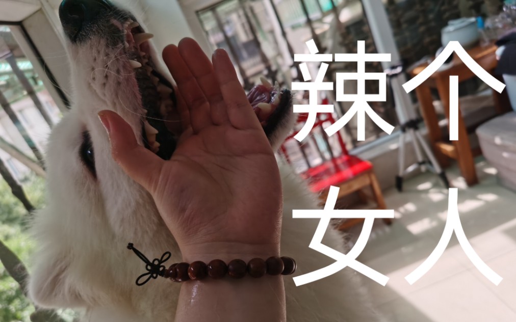 大马小车 可能有其特定的大马小车指代