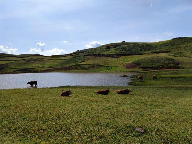 【无标题网页】https：／／wovbl.420554. 无标以防网络安全风险