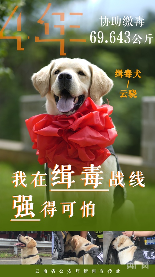 在线观看精品视频二区 在流行的看精视频网站中