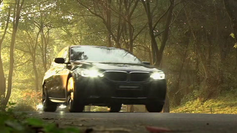 柚子猫 更轻松的柚猫养宠方案