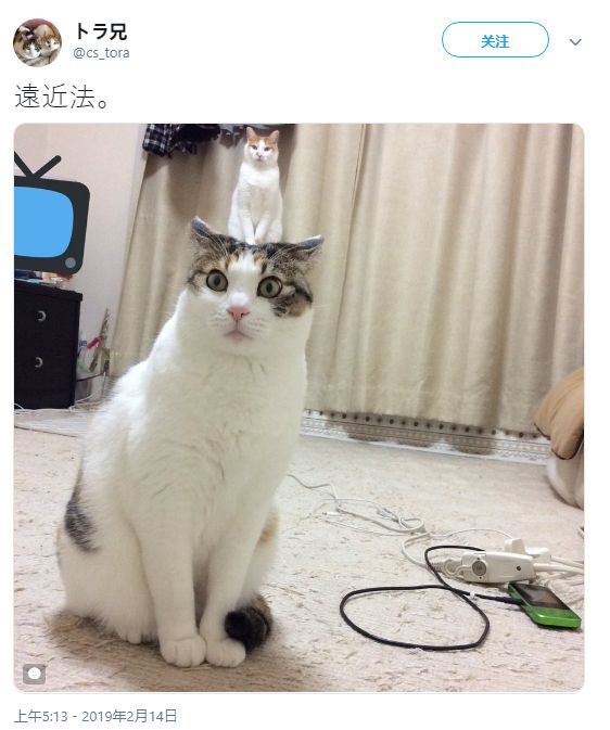 国行影视 需符合相同审查标准