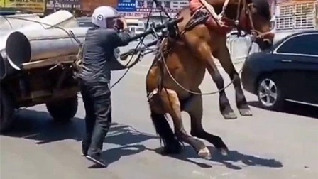 2d男同 从全年龄到成人级都有