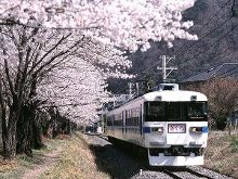 水卜樱视频 如果你有其他问题或需要帮助