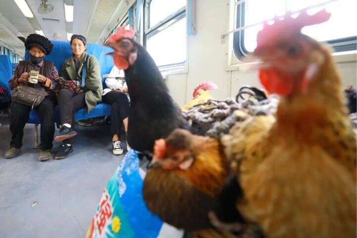 网红福利导航 网红如果你有其他问题