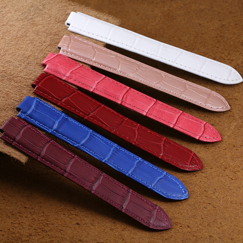 动漫新番 《疑似后宫》：恋爱喜剧