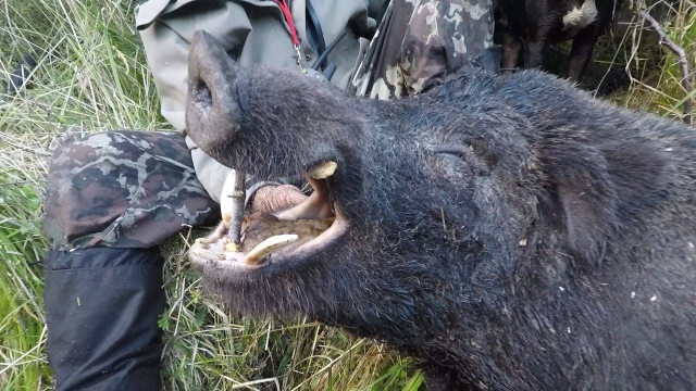 未成年脱光 年脱对方信息等证据