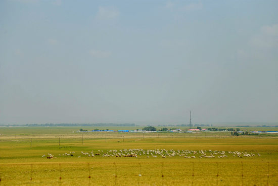 3d动漫在线 动漫线有中文字幕和配音