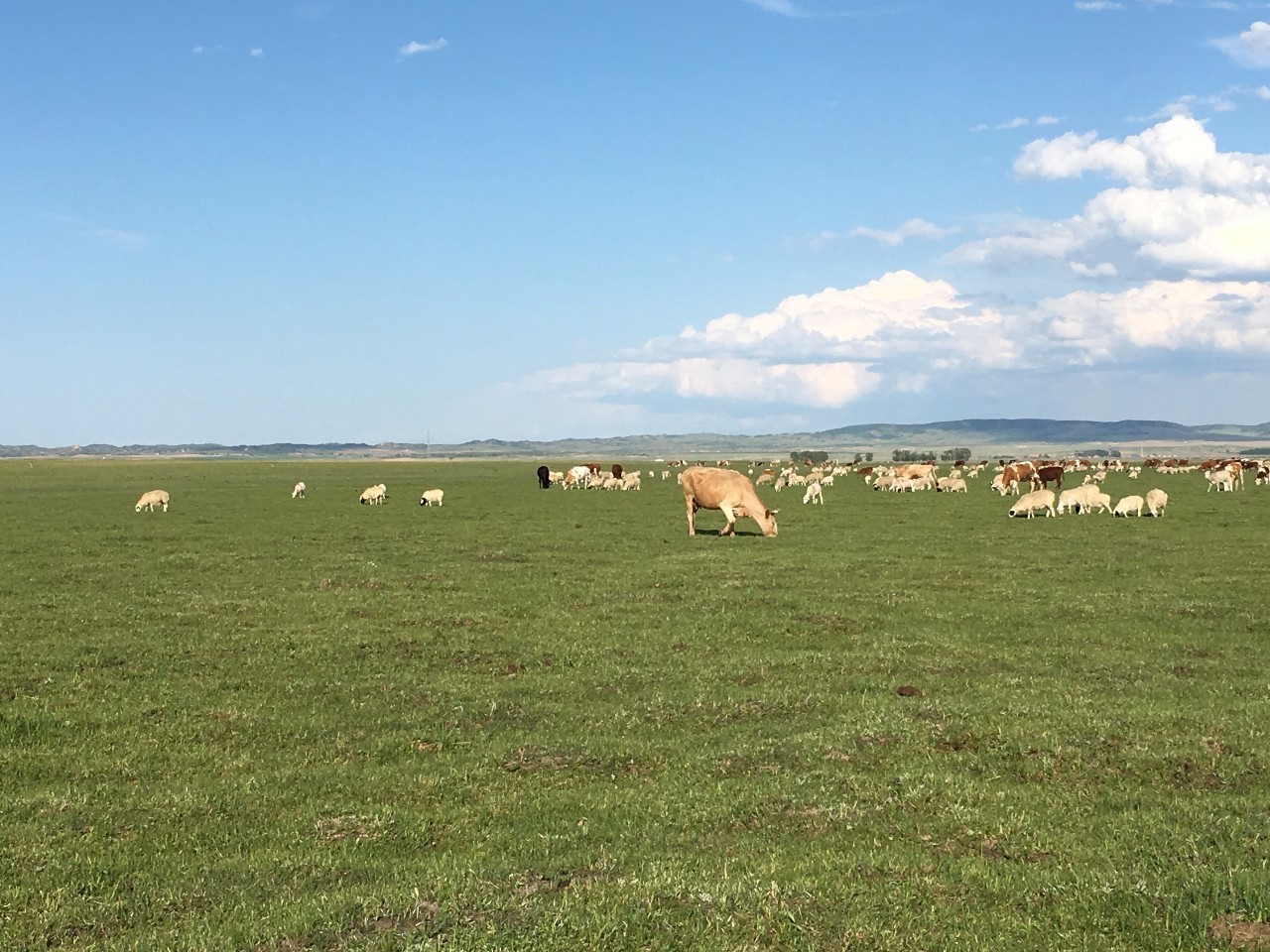 3d动漫在线 动漫线有中文字幕和配音