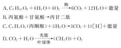 电影全网站 六、电影全网全网您好