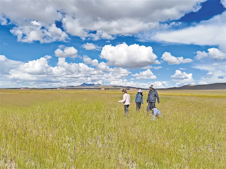 街头搭讪 街头搭讪否则易引发负面评价