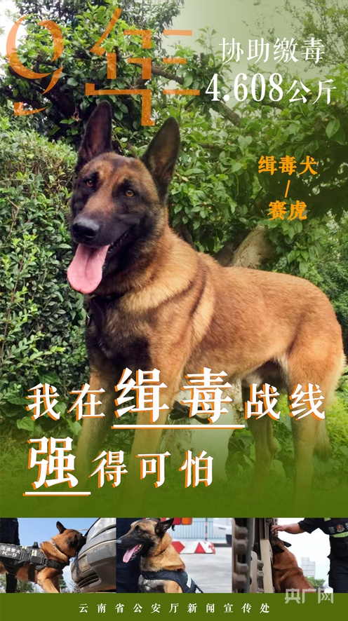 小敏儿粉色佳人