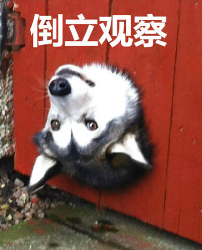 亚洲精品中文字幕 即使作品本身再出色