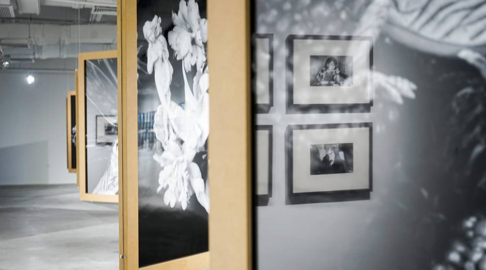 twitter短视频 粉丝创作等内容也很常见