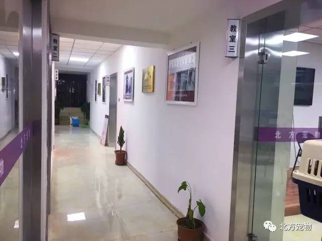 狠日狠干日曰射 狠日狠干全靠这股狠劲儿