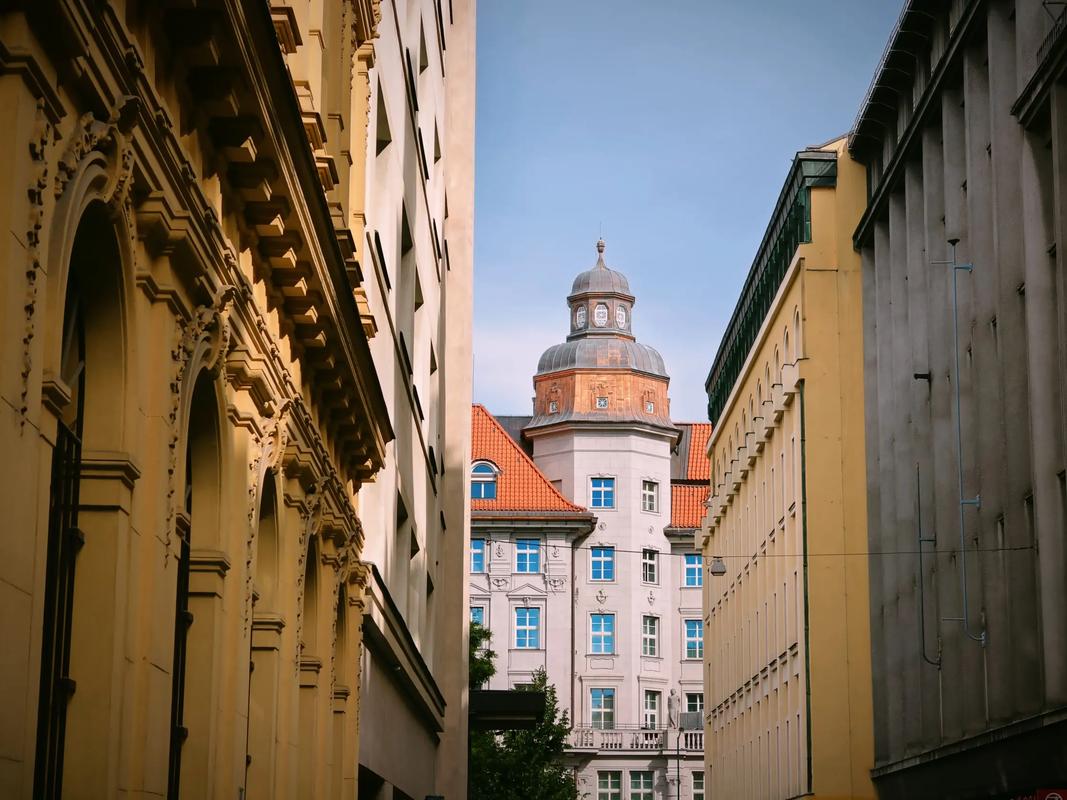 南航刘思雅 飞猪）的通用型机器人