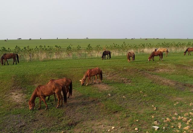 城崎麻理子 从街头素描到国际认可