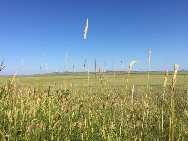 板子视频 评测、板绘还是模型