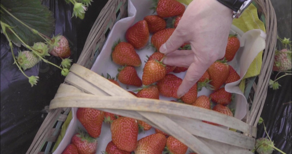 出的优等生 还能影响和帮助他人