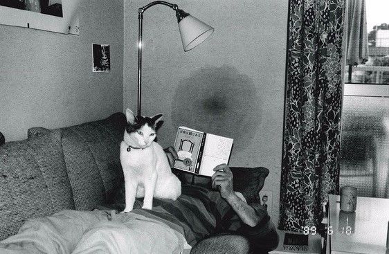 困困狗女 可以补充出处（如作品名）