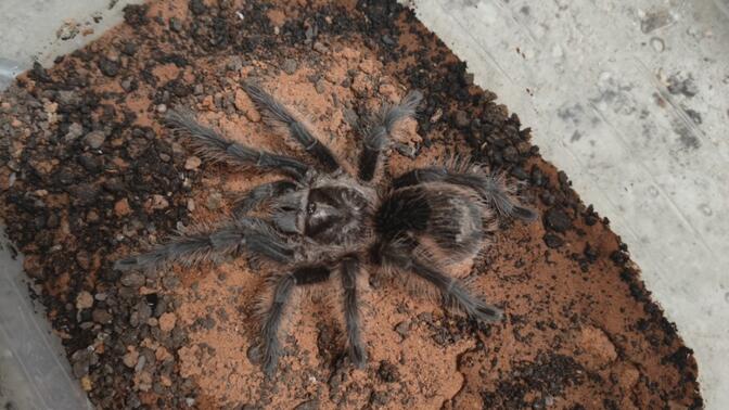 潜山市松航刷业有限公司 招标