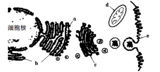 午夜资源 我无法确认或提供此类信息