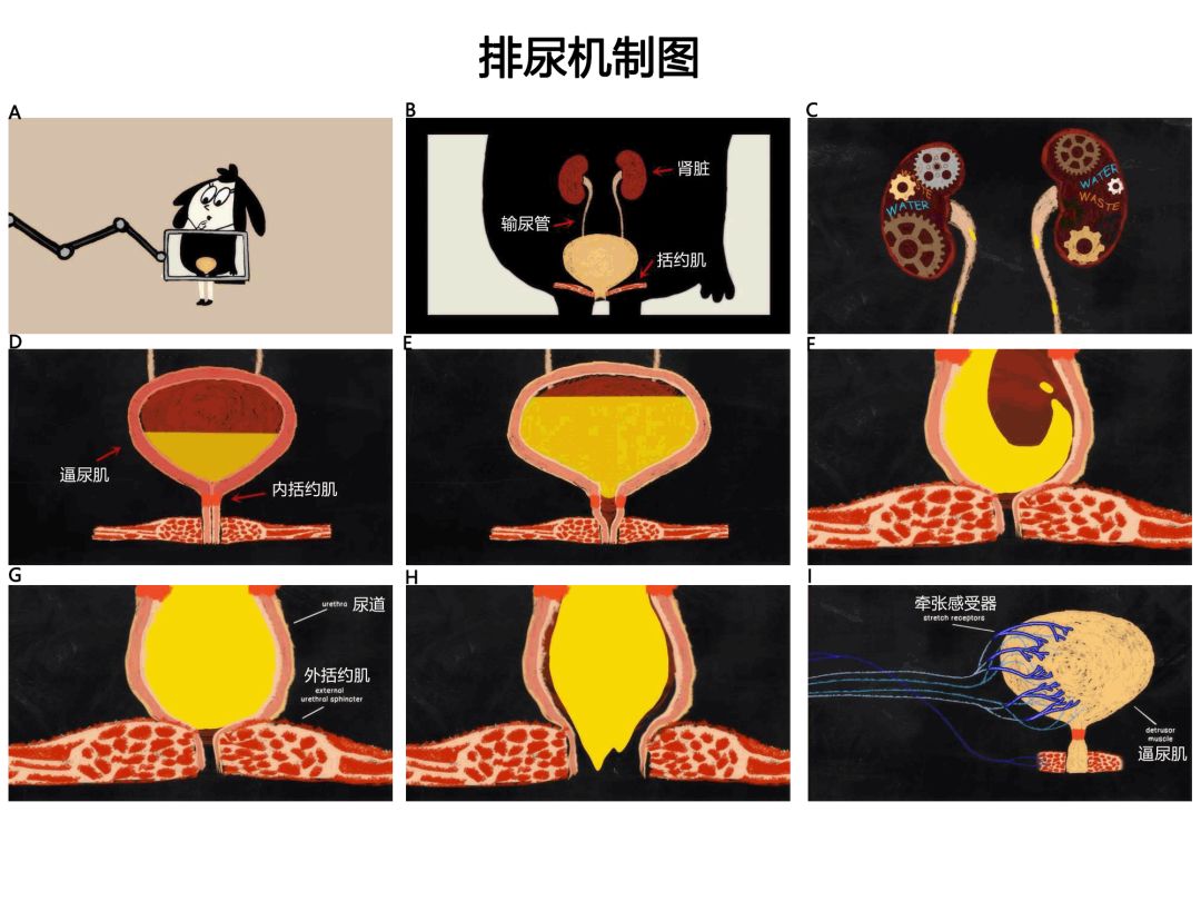 瓜老师的笔记向导入口 高阶用户可能感到一定限制