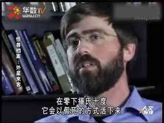 无码人妻区毛片不卡免费