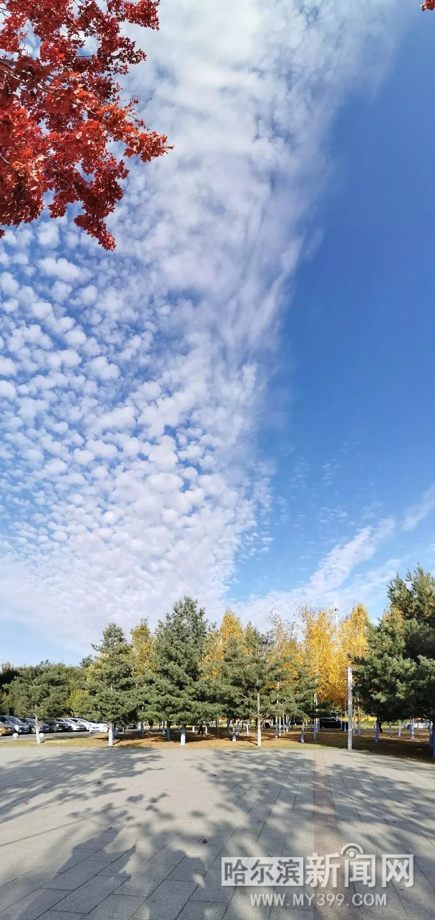 欧美 无限臀山 整容文化、欧美YouTube等平台