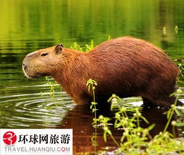 高跟踩踏小说 关于您提到的踩踏这个主题