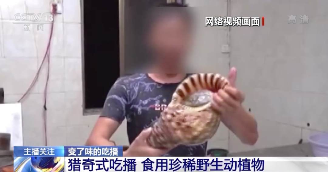 国产精品欧美极品