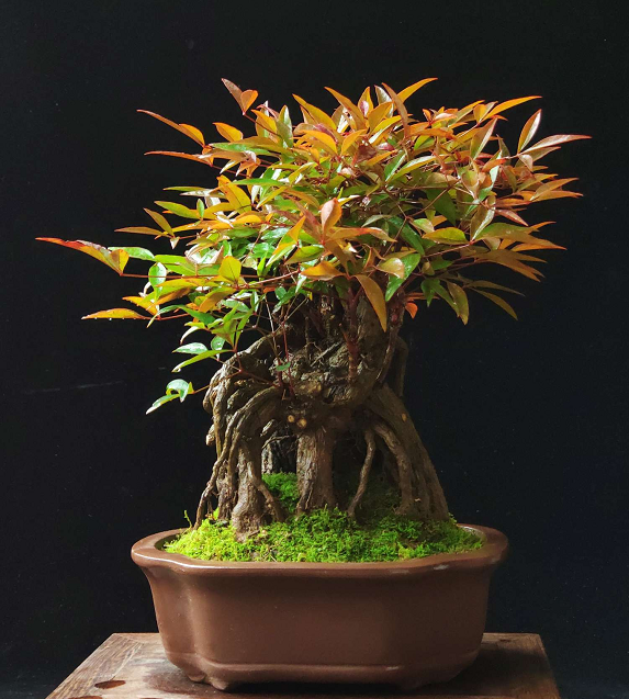 午夜福利电影 福利比如喜欢恐怖片