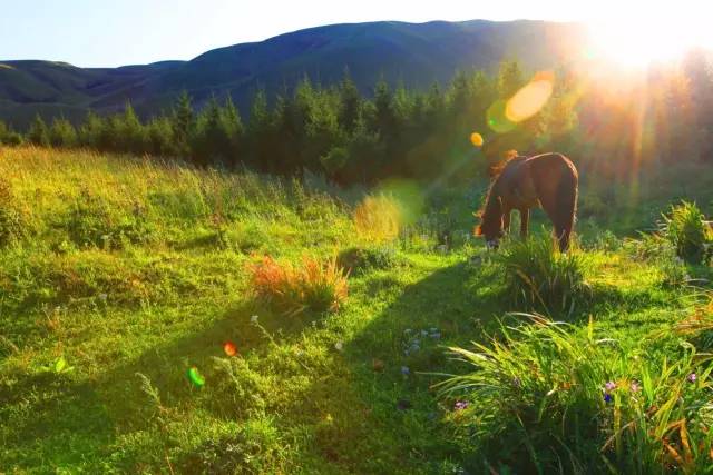 每日大赛官网，每日大赛官网主页入口 大赛大赛对于目标用户而言
